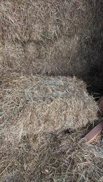 Hooi, Dieren en Toebehoren, Ophalen