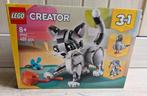 Lego Creator 3 in 1 Speelse kat
Nieuw!
Set 31163, Kinderen en Baby's, Speelgoed | Duplo en Lego, Ophalen of Verzenden, Zo goed als nieuw