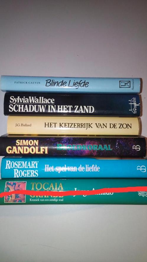 Romans, Boeken, Romans, Zo goed als nieuw, Ophalen of Verzenden