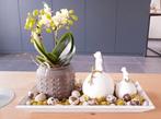 Diverse woondecoratie (zie foto´s), Huis en Inrichting, Woonaccessoires | Overige, Ophalen, Zo goed als nieuw