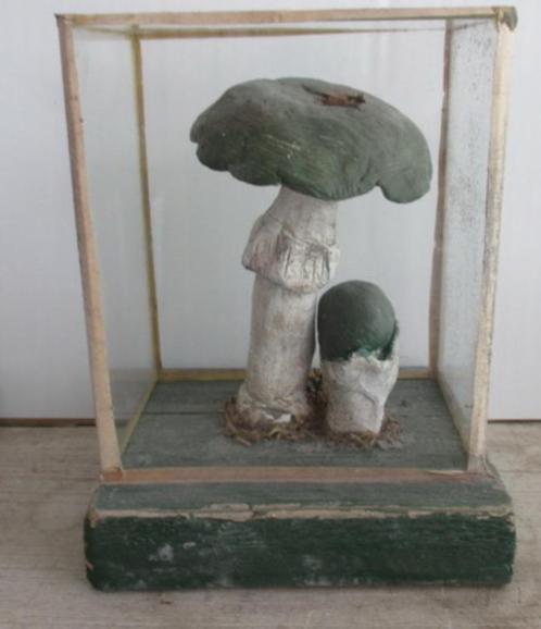 antieke botanische modellen paddestoelen in glazen box  51, Antiek en Kunst, Curiosa en Brocante, Verzenden