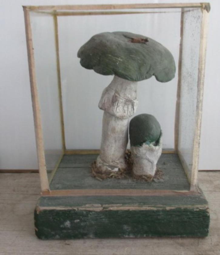 antieke botanische modellen paddestoelen in glazen box  51, Antiek en Kunst, Curiosa en Brocante, Verzenden