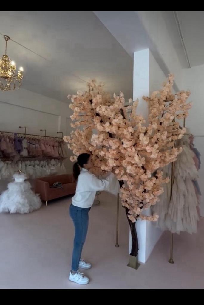 Bloesemboom, Maison & Meubles, Accessoires pour la Maison | Fleurs séchées, Neuf, Enlèvement