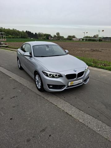 BMW 218i Coupé Automaat, Auto's, BMW, 4 zetels, Euro 6, 2 Reeks, 164 g/km