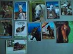 Cartes postales chevaux et ânes (11 ), Verzamelen, Postkaarten | Dieren, Paard, Ophalen of Verzenden, 1980 tot heden
