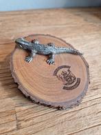 Verzilverde Leguaan houten blok New Zealand Customs Service, Ophalen of Verzenden