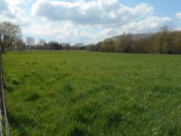 Weide / Landbouwgrond beschikbaar voor biedingen