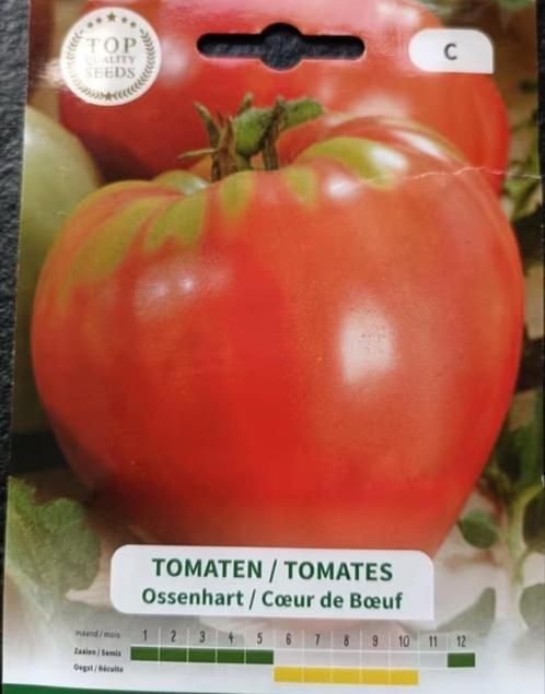 Coeur de boeuf tomatenplantjes, LAATSTE, Tuin en Terras, Planten | Tuinplanten, Vaste plant, Groenteplanten, Volle zon, Zomer