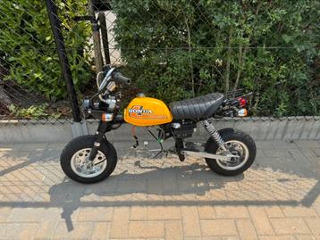 Honda monkey z50j1, Honda, 0 cm³, Enlèvement, Utilisé