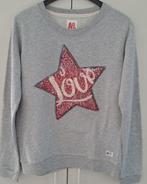 AO sweater (16 jaar), Kinderen en Baby's, Kinderkleding | Maat 176, Jongen of Meisje, Trui of Vest, Ophalen of Verzenden, Zo goed als nieuw