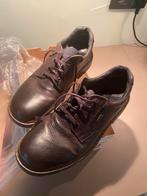 Herenschoenen maat 43. Misschien 2x gedragen., Kleding | Heren, Schoenen, Ophalen of Verzenden, Zo goed als nieuw