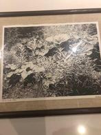 foto ets gesigneerd, Enlèvement ou Envoi