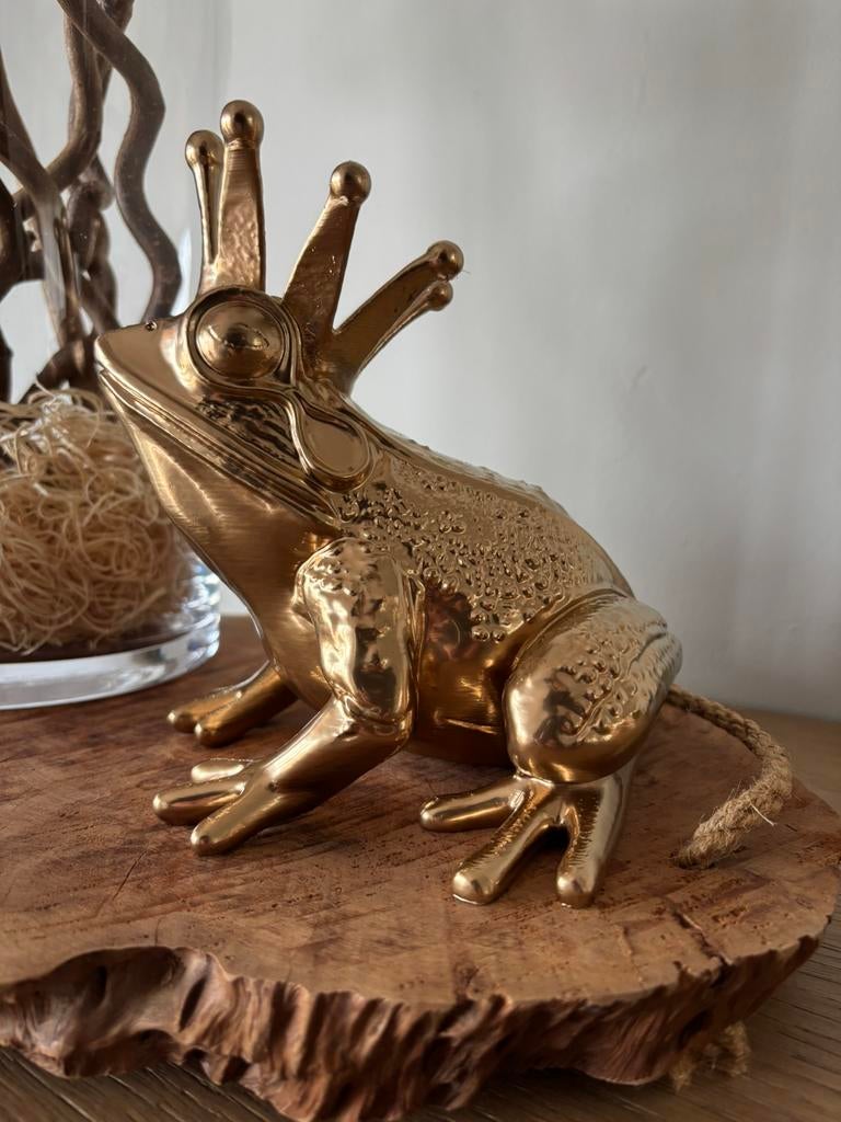 Kikker, Verzamelen, Ophalen of Verzenden, Zo goed als nieuw