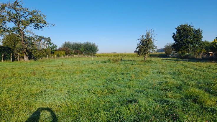 Terrain à bâtir à Oosterzele, Immo, Terrains & Terrains à bâtir, Oosterzele, Ventes sans courtier, 1000 à 1500 m²