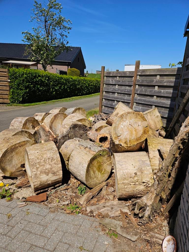 Brandhout cannada, Jardin & Terrasse, Bois de chauffage, Enlèvement