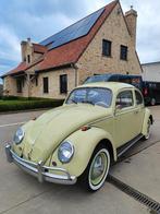 Vw kever 1200 Beryl green gerestaureerd + garantie, Auto's, 4 zetels, Beetle (Kever), 4 cilinders, Handgeschakeld