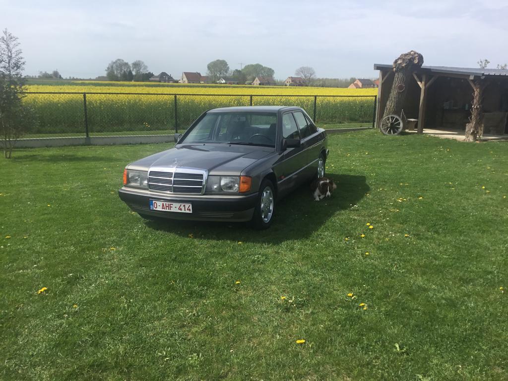 Mercedes 190 E 1.8, Auto's, Mercedes-Benz, Particulier, 190-Serie, Centrale vergrendeling, Elektrische ramen, Lichtmetalen velgen