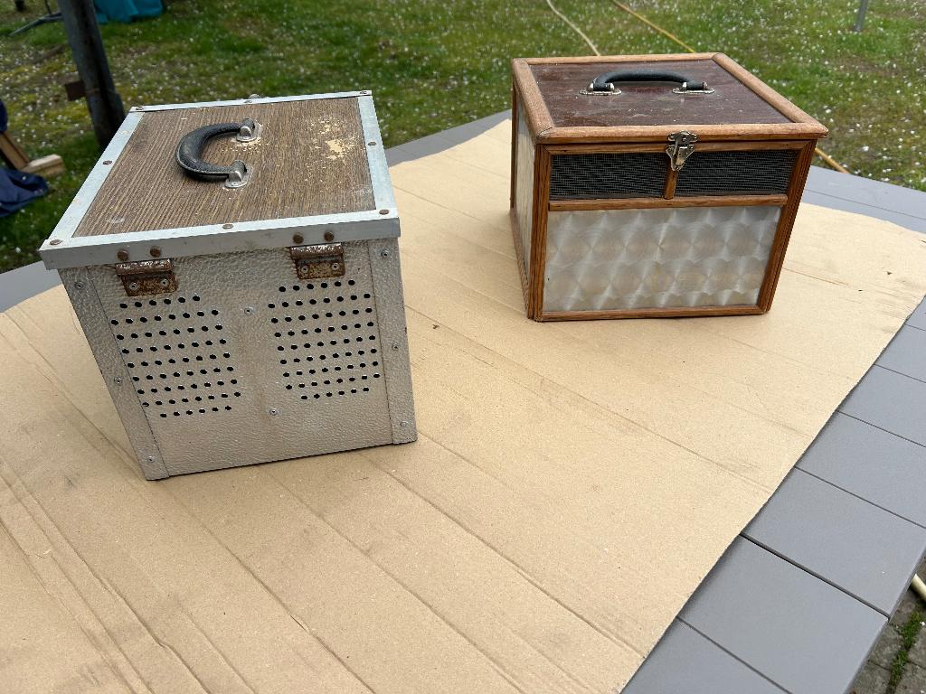 Transport mand duiven