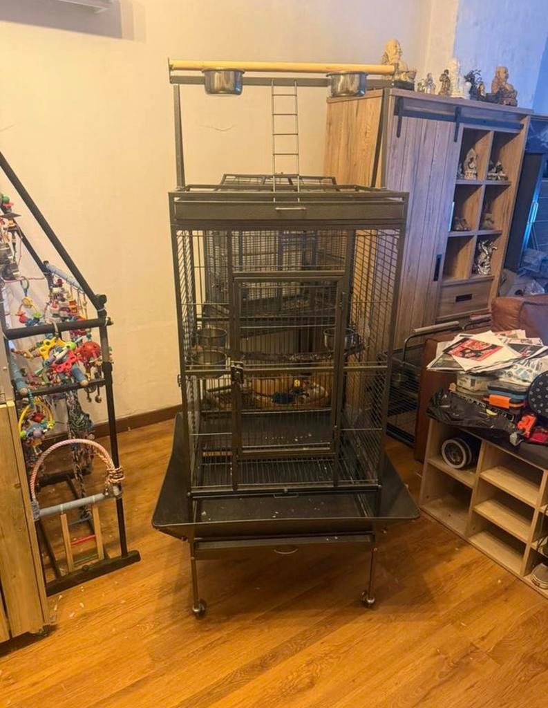 2 papegaaien in nieuwstaat, Animaux & Accessoires, Oiseaux | Cages & Volières, Enlèvement, Comme neuf, Autres matériaux, Autres types