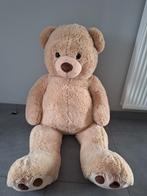 Teddy beer, Ophalen, Beer