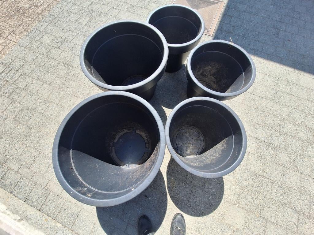 Bloempotten, Ophalen