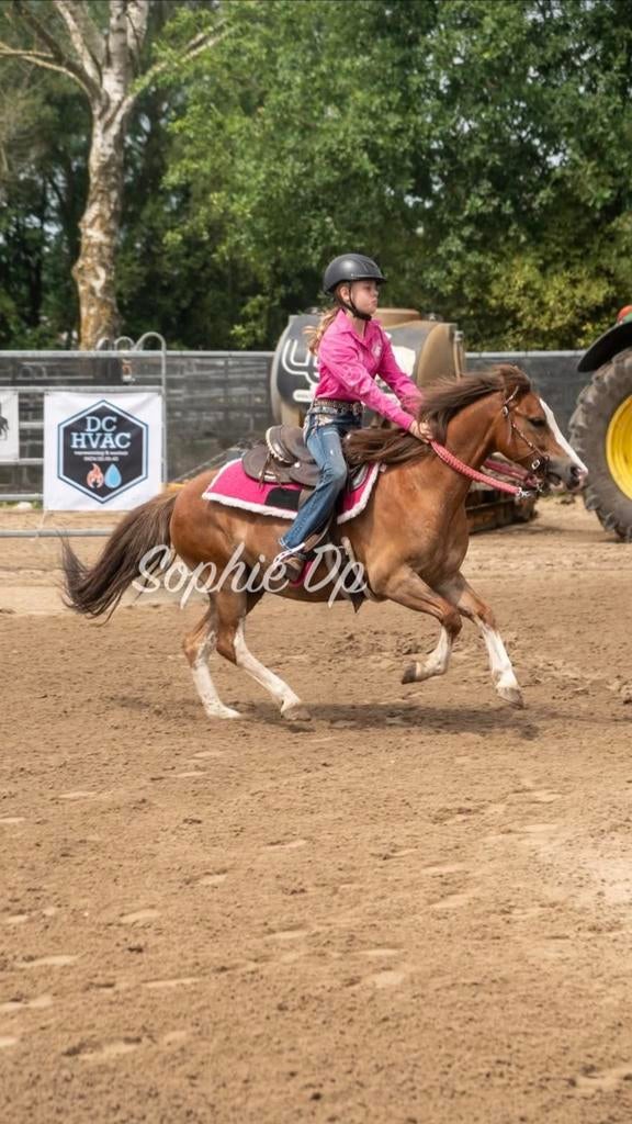 C pony van juni 2013, Animaux & Accessoires, Poneys