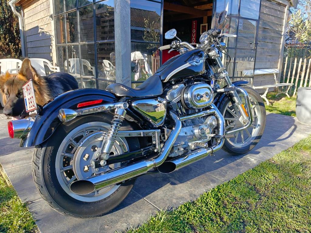 Harley Davidson xlh 883 sportster hugger, Motoren, 2 cilinders, Nieuw, Chopper, 900 cc