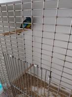 Splendide pop de 2025, Animaux & Accessoires