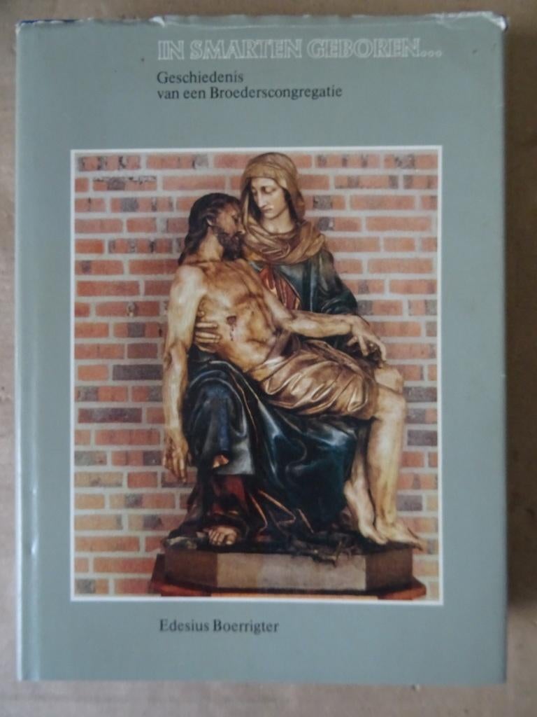 Edesius Boerrigter In smarten geboren Broederscongregatie, Livres, Christianisme | Catholique, Enlèvement ou Envoi, Edesius Boerrigter