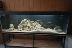 Aquarium complet, Animaux & Accessoires, Poissons | Aquariums & Accessoires, Enlèvement