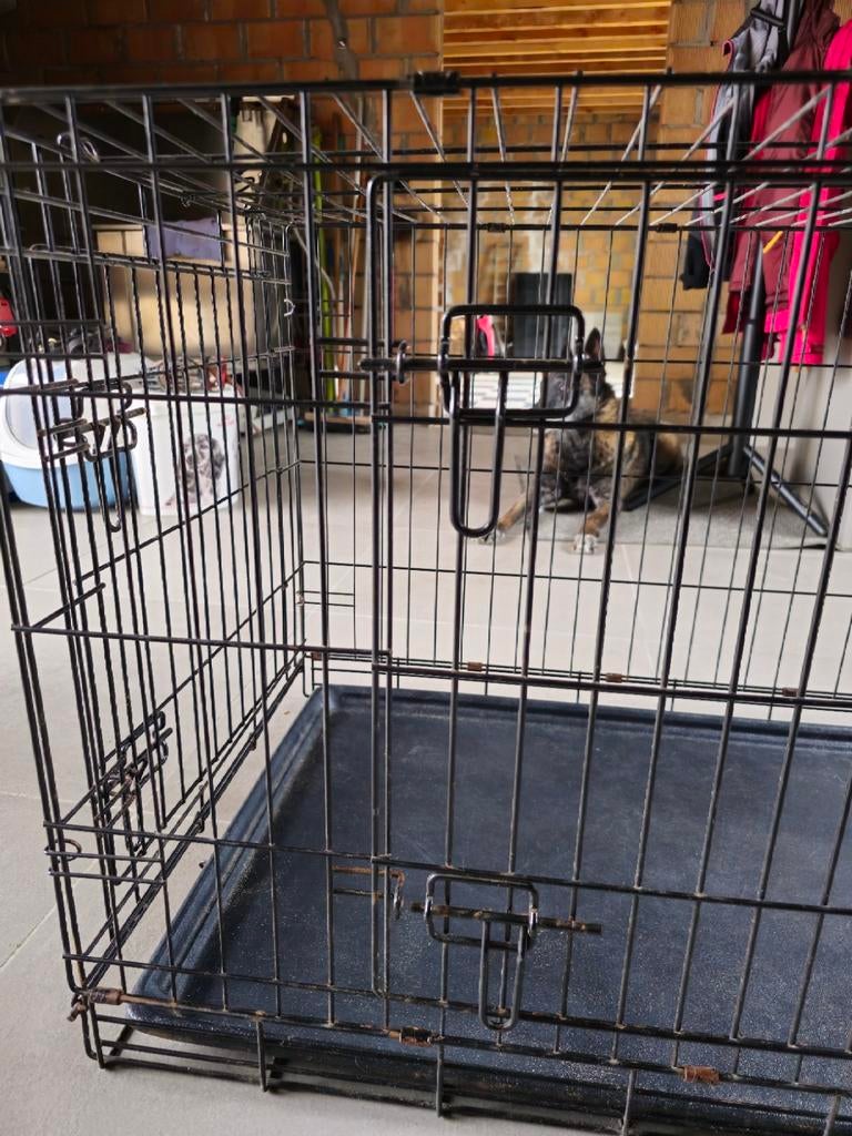 Draadkooi medium + tussenschot voor pup, Ophalen