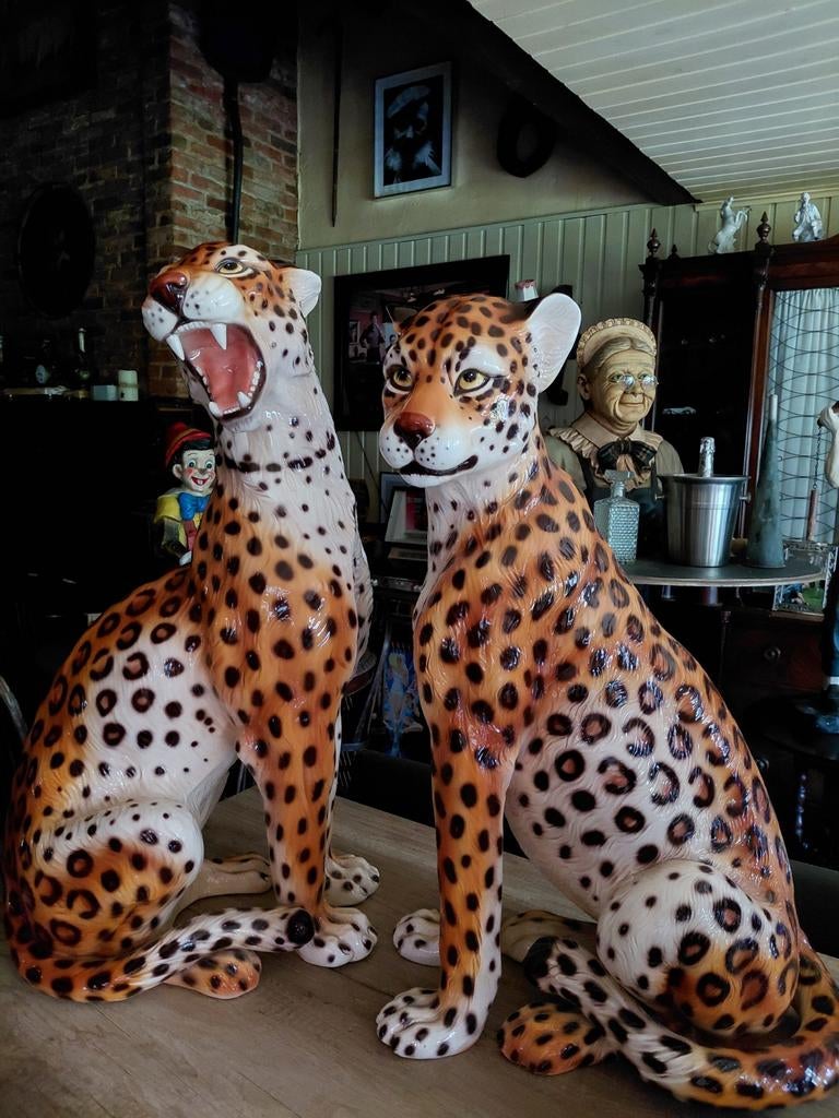 Luipaarden koppel, Enlèvement