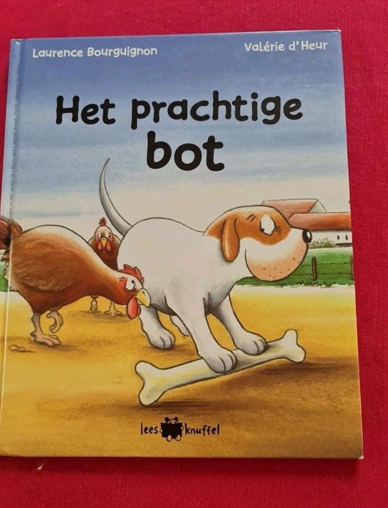 Prentenboek : het prachtige bot / laurence Bourguignon, Boeken, Ophalen of Verzenden