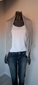 Gilet Ralph Lauren, Vêtements | Femmes, Taille 42/44 (L), Enlèvement ou Envoi, Autres couleurs, Comme neuf