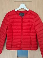 Zomerjasjes, Kleding | Dames, Ophalen of Verzenden, Nieuw, Maat 36 (S), Overige kleuren