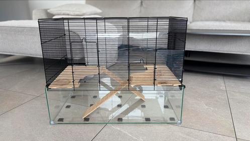 Cage hamster, Dieren en Toebehoren, Knaagdieren en Konijnen | Hokken en Kooien, Zo goed als nieuw, Kooi, Minder dan 60 cm, Minder dan 75 cm