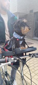 Panier à vélo pour chien Buddyrider, Animaux & Accessoires, Paniers pour chiens, Polyester, Enlèvement ou Envoi, Neuf