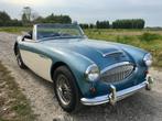 Austin Healey 3000 Mark II BJ7, Auto's, Austin, Zwart, Cabriolet, Blauw, Leder en Stof