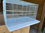 Kweekkooi draadkooi XL, Enlèvement ou Envoi, Neuf