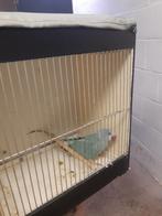 Halsbanden, Dieren en Toebehoren, Ophalen