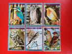 Equatoriaal Guinea 1976 - Europese vogels - roodborstje, uil, Postzegels en Munten, Postzegels | Afrika, Ophalen of Verzenden