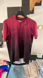 Specialized tenue, Fietsen en Brommers, Fietsaccessoires | Fietskleding, Specialized, Heren, Ophalen of Verzenden, Zo goed als nieuw
