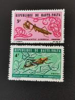 Haute-Volta 1966 - fauna - insecten - sprinkhanen **, Postzegels en Munten, Postzegels | Afrika, Zuid-Afrika, Ophalen of Verzenden