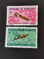 Haute-Volta 1966 - fauna - insecten - sprinkhanen **, Ophalen of Verzenden, Zuid-Afrika, Postfris
