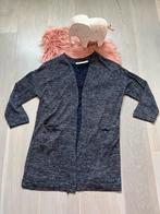 Vest blauwe tinten, Kleding | Dames, Ophalen of Verzenden, Zo goed als nieuw