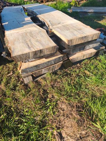Boomstam plank kastanje  beschikbaar voor biedingen