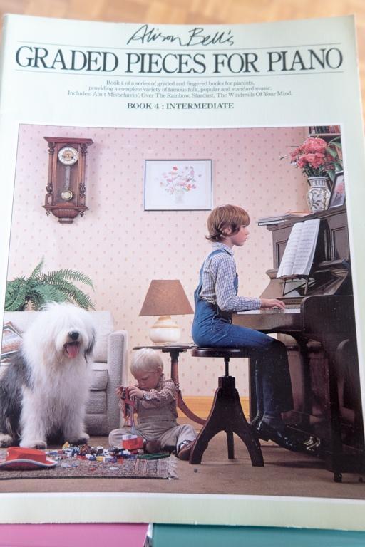 Songbooks voor piano, Musique & Instruments, Partitions, Comme neuf, Thème, Piano, Enlèvement