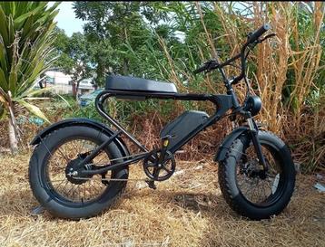 Nouveau fat bike ! disponible aux enchères