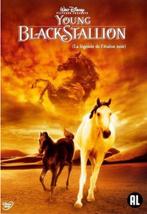 Young Black Stallion (2003) Dvd, Alle leeftijden, Ophalen of Verzenden, Gebruikt