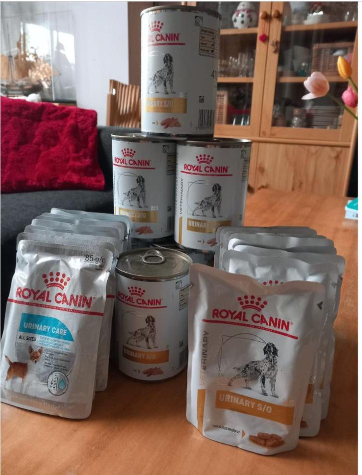 Royal Canin Urinary S/O, 24 stuks allerlei, Dieren en Toebehoren, Dierenvoeding, Hond, Ophalen of Verzenden